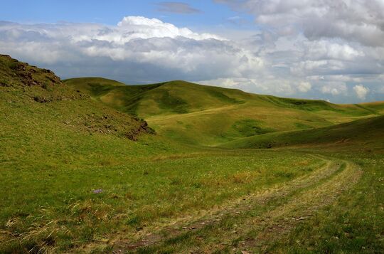 Les espaces verts